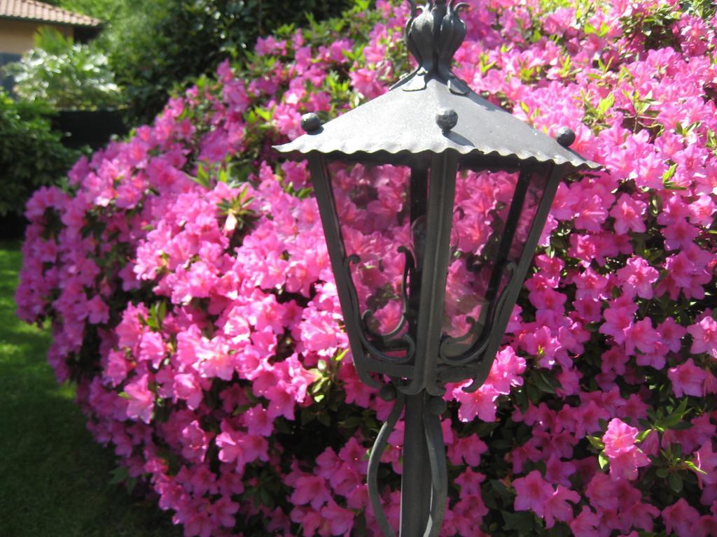 Villa Margherita Lake Maggiore Bagian luar foto
