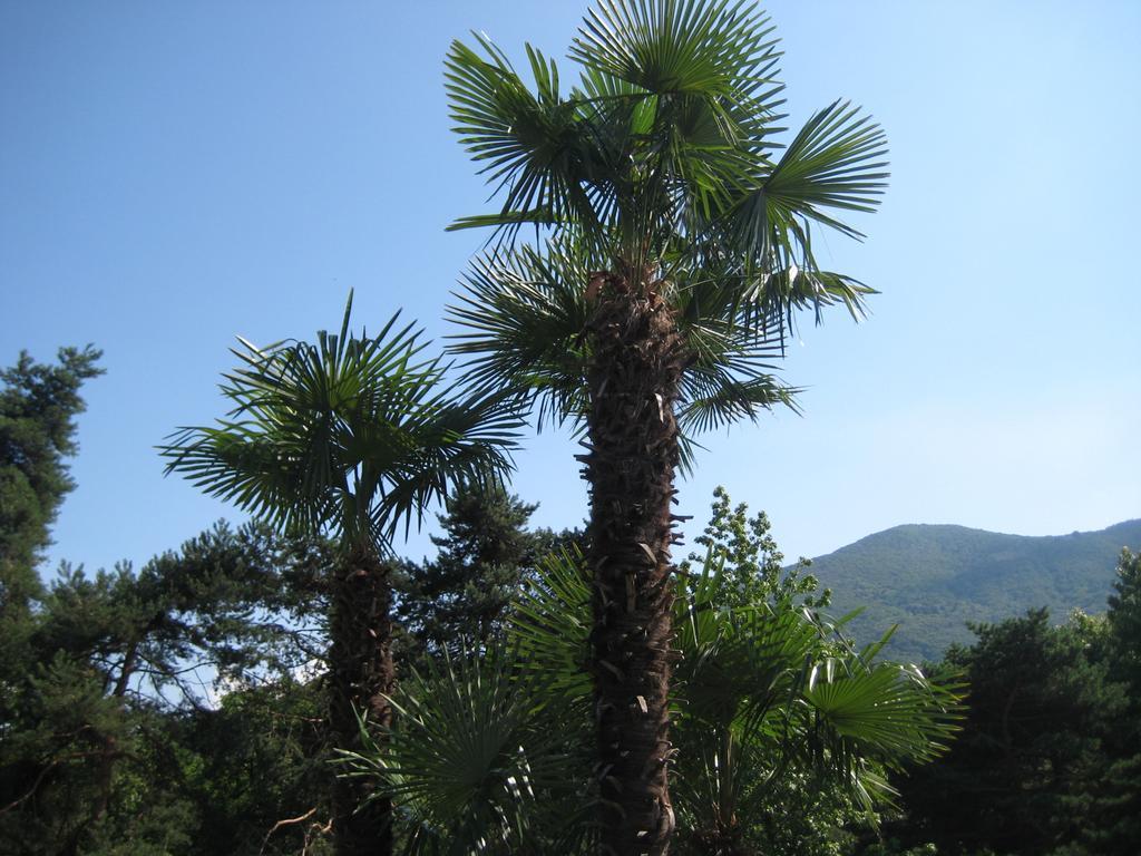 Villa Margherita Lake Maggiore Bagian luar foto